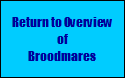 Return to Overview
of
Broodmares