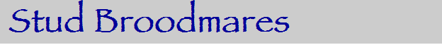 Stud Broodmares